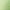 Sage, variant on Spring Notion Men's Cummerbund and Bow Tie Set Sage