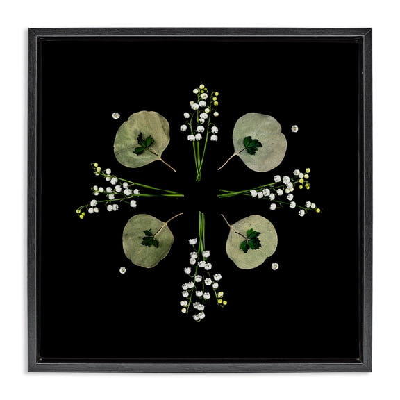 Stupell Industries Coastal Leaves & Wildflowers on Black Black Floating Frame Canvas Art, 18 x 18, by Beth Adoette
