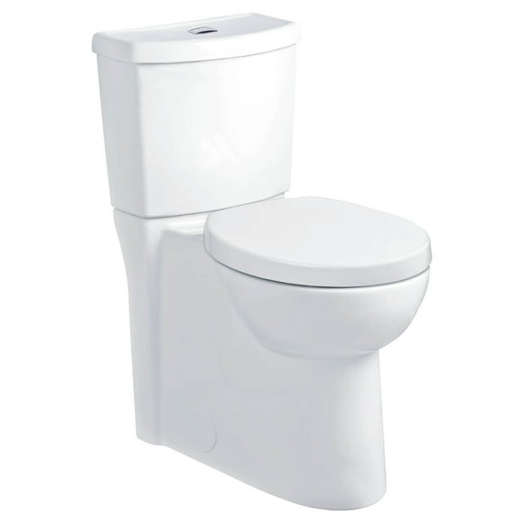19 Inch High Toilets
