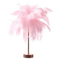 thumbnail image 1 of Lámpara de pie para dormitorio con estampado de plumas, LED rosa, regulable en tres colores., 1 of 1