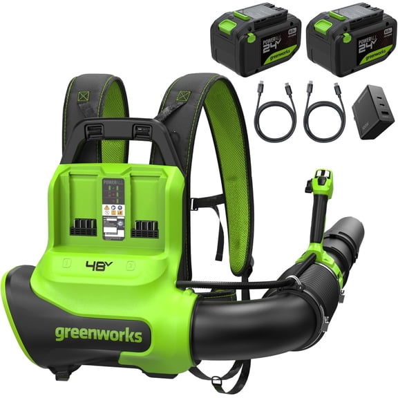 Greenworks 48V (24V x 2) Brushless Backpack Leaf Blower (730 CFM / 185 MPH), Ultra-Powerful for Large Yard, Driveway, Patio and Deck Cleanup, Includes (2) 8.0Ah Batteries and 100W Fast Charger