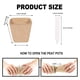 thumbnail image 2 of Plantas de macetas de Copa biodegradable Sharpla 80 piezas, 2 of 8