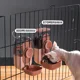 thumbnail image 2 of Dispensador de agua automático colgante para jaulas de animales pequeños, conejos, cobayas, botella para beber a prueba de fugas, fuente de bebida ecológica, 2 of 5