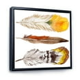 thumbnail image 3 of Designart 'Ethnic Yellow Feather From Wing On White' Bohemian & Eclectic Framed Canvas Wall Art Print, 3 of 5