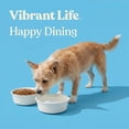 thumbnail image 4 of Vibrant Life Medium 4-Cup Stainless Steel Bone Textured Pet Bowl, White, 4 of 10