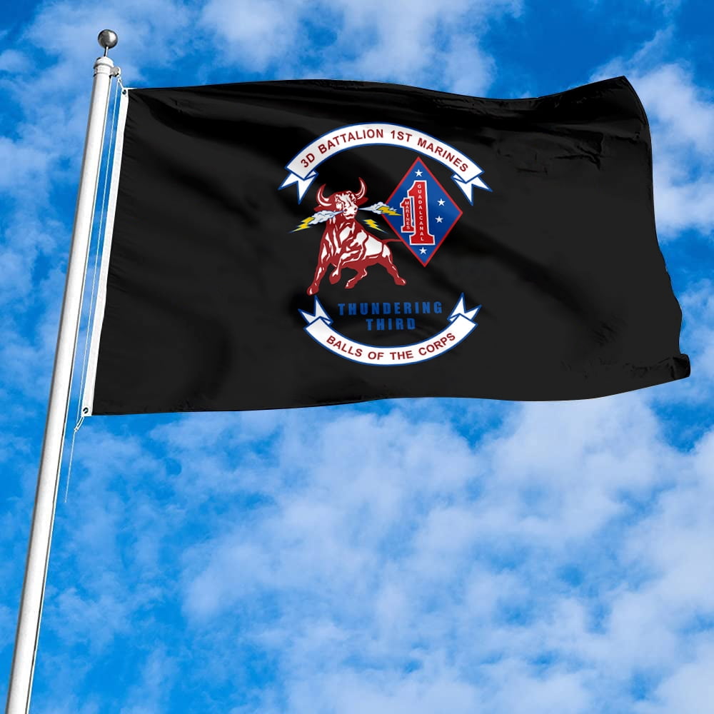 Dutern Double Sided 3rd Battalion, 1st Military Flag Banner 3 Ply with Brass Grommets 3x5 Feet