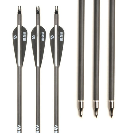 6PCS 30inch Carbon Shaft Archery Arrows SP340 Replaceable Tips F Compound (Best Arrows For 60 Pound Compound Bow)