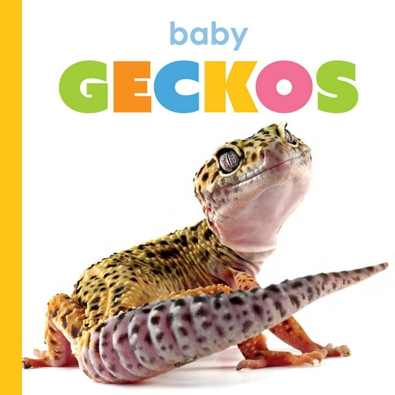 Starting Out Baby Geckos, (Paperback)