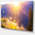 thumbnail image 2 of Fleurs de Prairie Rurale au Coucher du Soleil - Paysage Toile Art Print, 2 of 3
