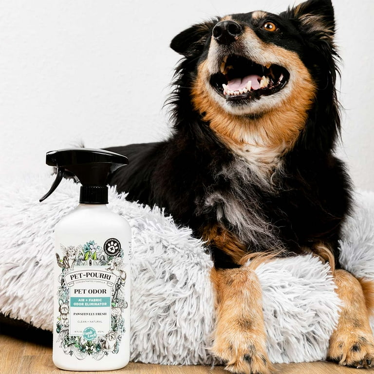 Natural pet odor eliminator hotsell