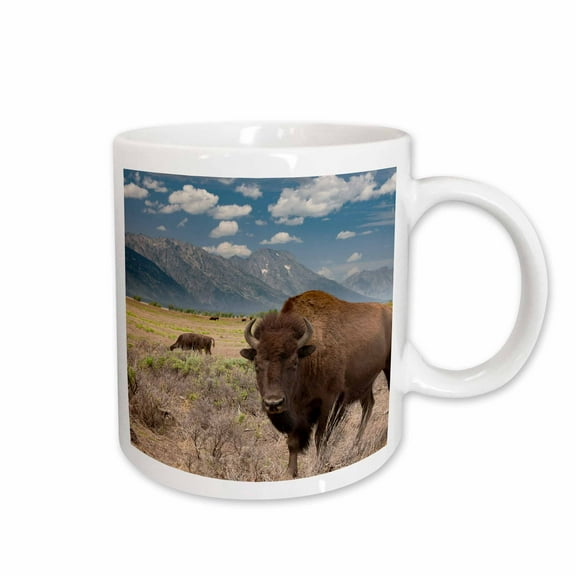 3drose, Buffalo. Grand Teton National Park, Wyoming., 15oz Mug