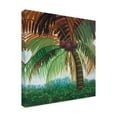 thumbnail image 2 of Trademark Fine Art 'Tropic Palm II' Canvas Art by Julie Joy, 2 of 4