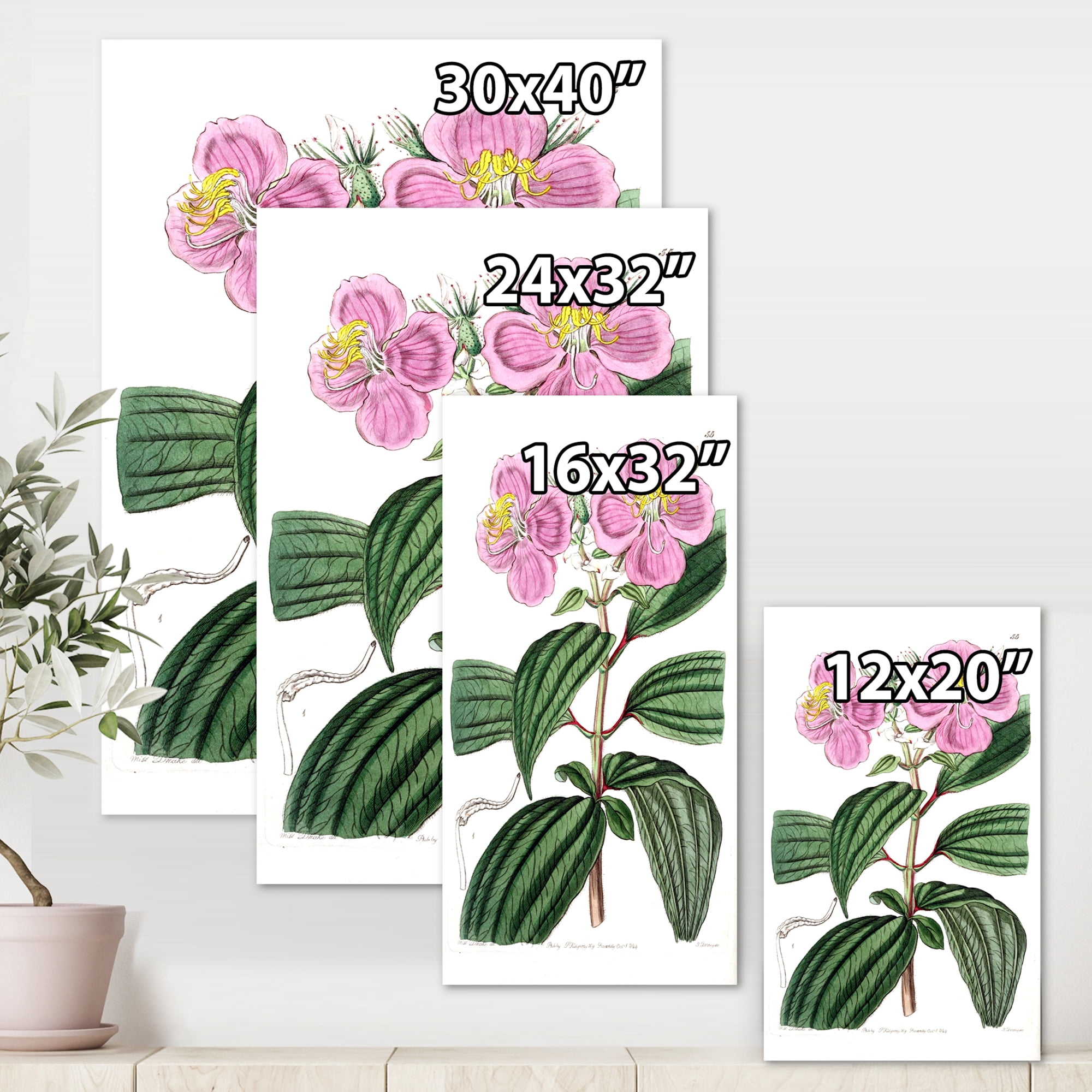 Designart ' Ancient Plant Life XXIII ' Traditional Canvas Wall Art Print