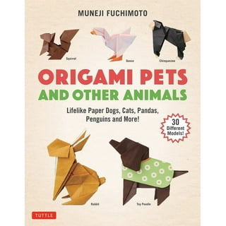 Origami Extravaganza! Folding Paper, a Book, and a Box: Origami Kit  Includes Origami Book, 38 Fun Projects and 162 Origami Papers: Great for  Both Kids