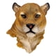thumbnail image 1 of Cabeza de animal Montaje en pared León Tigre Estatua Busto Hecho Casa de Resina decorativa Animales Estatuilla 20x10x23cm, 1 of 9