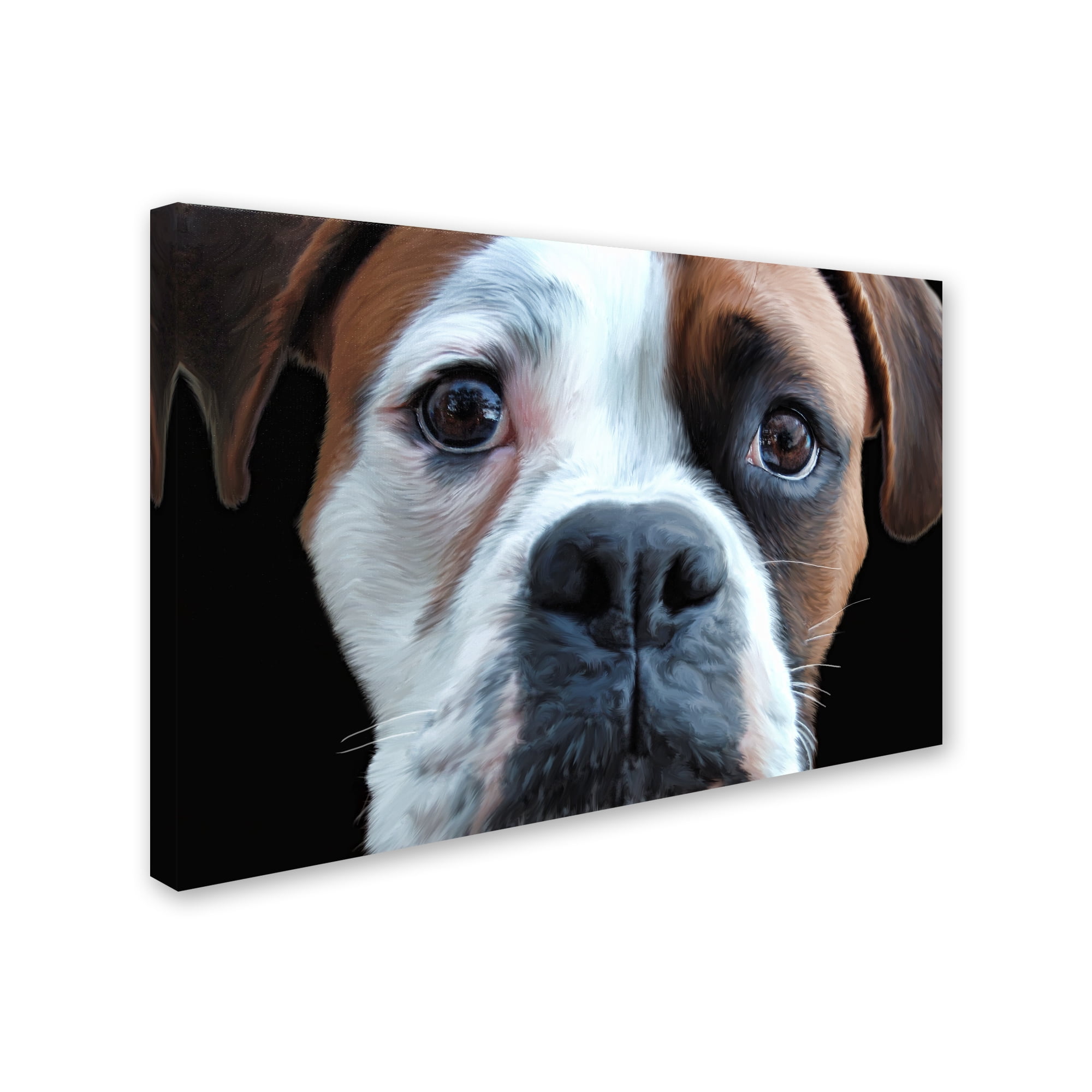 Trademark Fine Art 'Boxer' Canvas Art by Lori Hutchison