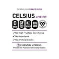 thumbnail image 4 of CELSIUS Sparkling Grape Rush, Functional Essential Energy Drink 12 fl oz Can (Pack of 12), 4 of 5