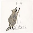 thumbnail image 3 of Barnes, Victoria 12x12 Black Modern Framed Museum Art Print Titled - Rascally Raccoon IV, 3 of 5