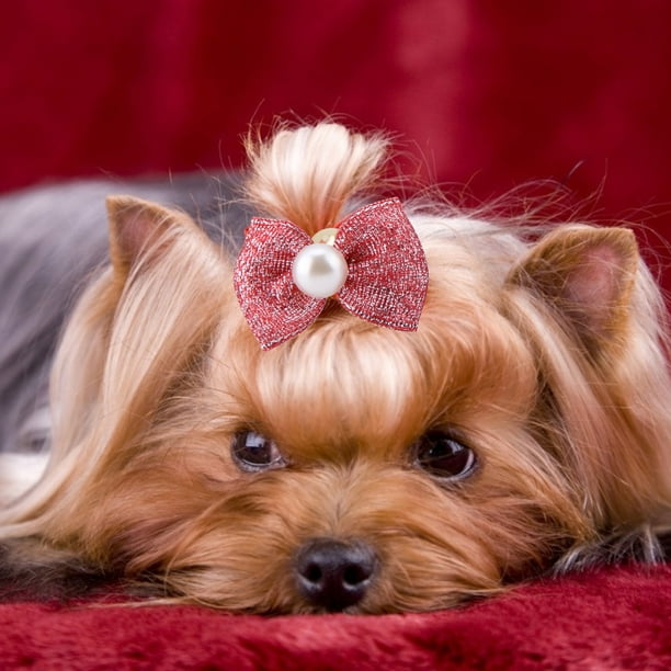 Faginey Cute Dog Hair Clips Mini Pet Hair Clip For Pet Dog Pet Birthday Party Pet Cat