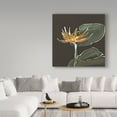 thumbnail image 3 of Trademark Fine Art 'Lily on Black I' Canvas Art by Chris Paschke, 3 of 3