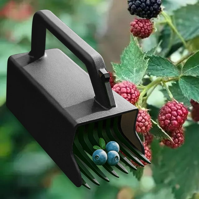 Rastrillo para arándanos, pala para recoger arándanos, recolección fácil, portátil Negro