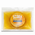 thumbnail image 3 of Pack  SCOBY Para Kombucha +  Tibicos para hacer Kefir By Hierba Linda, 3 of 3