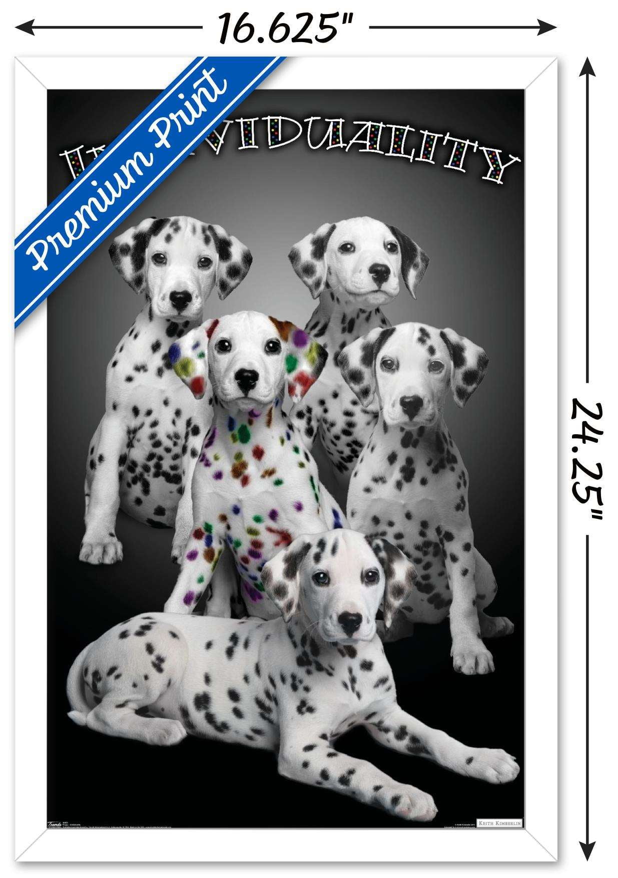 Keith Kimberlin - Dalmatian Puppies with Colored Spots