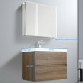 thumbnail image 3 of Blossom Assisi 30" Wall Vanity – Brown Walnut Floating Cabinet w/Acrylic Sink & Soft-Close Drawers, 3 of 7