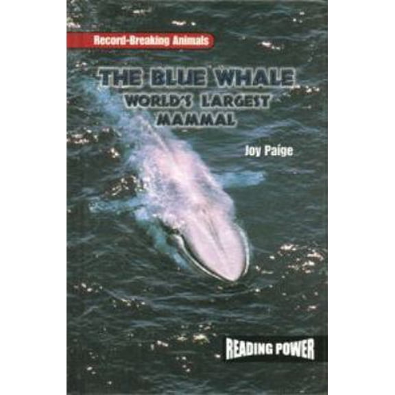 Pre-Owned The Blue Whale: World's Largest Mammal (Library Binding) 0823959627 9780823959624