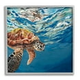 thumbnail image 5 of Stupell Industries Sea Turtle Swimming Distant Surface Ocean Water Waves Painting Gray Framed Art Print Wall Art, Design by Stacy Gresell, 5 of 5