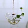 thumbnail image 3 of Hanging Glass Flowers Plant Vase Bottle Terrarium Container Home Garden Decors, 3 of 5