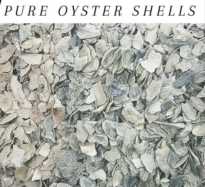 Oyster Shells Calcium Grit for Birds & Chickens BULK