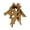L, variant on Aquarium Driftwoods Decoration Tree Root Hideouts for Fish and Shrimp Resting Spawning and Shelter Natural Durability