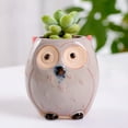 thumbnail image 7 of Succulent Plant Pot - Owl Pot Ceramic Flowing Glaze Base Cactus Plant Pot Flower Pot Container Planter with Drainage Hole Home Office Desk Garden Gift, 7 of 7