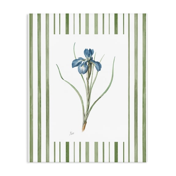 Stupell Industries Spring Iris And Stripes Canvas Wall Art, design by Nan