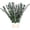 Green, variant on Real Dried Eucalyptus Stems, 20Pcs 17inch Red Preserved Fresh Eucalyptus Stems Plant for Home Vase Wedding Festival Floral Arrangement Fall Flowers Decoration