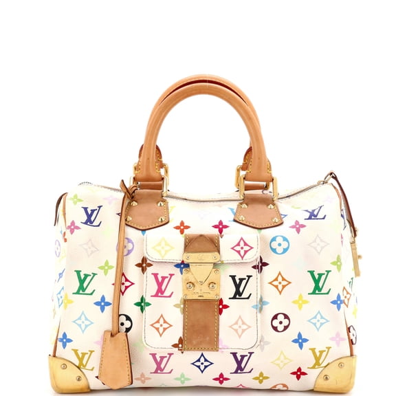 Pre-Owned Speedy Handbag Monogram Multicolor 30 By Rebag