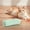 Green, variant on Cozy Catnip Pillow Toy for Cat Toys for Indoor Cats, Soft Plush Kitten Toys for Chewing, Calming Interactive Cat Toy for Boredom Relief