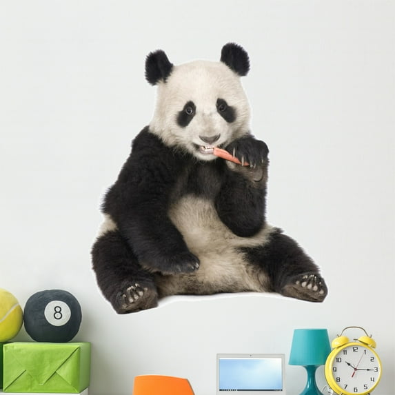 Giant Panda 18 Months Wall Decal by Wallmonkeys Peel and Stick Graphic (48 in H x 42 in W) WM87620