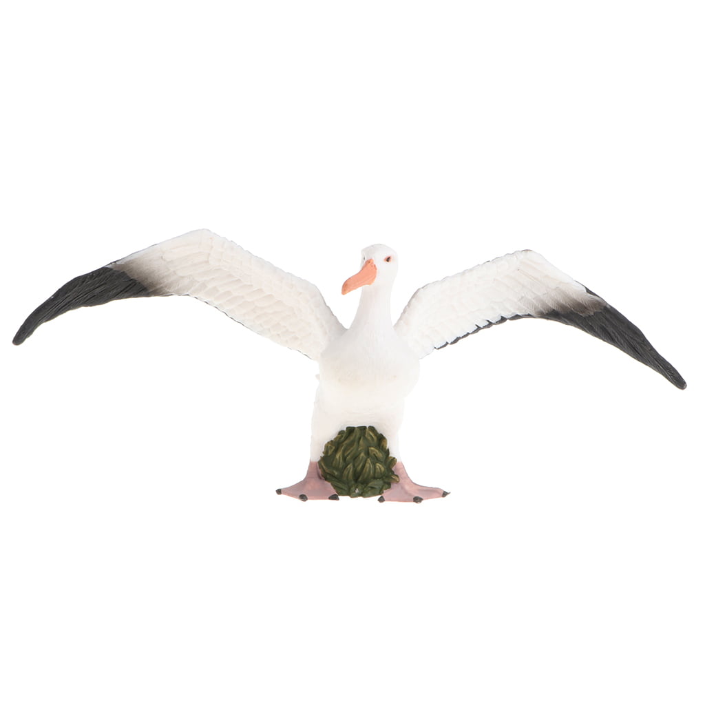 Details about   Realistic Flying Seagull Bird Animals Pet Figure Toys Wild Forest Farm Ocean 