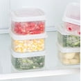thumbnail image 7 of Pyaiiner Food Storage Boxes with Lid for Meat Refrigerator Meat Compartment Box Freezing Storage Box Food Grade Special Small Refrigerator Storage Separately Packed Case, 7 of 7