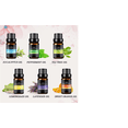 thumbnail image 4 of Kit de 6 aceites escenciales Malubero  Malu593, 4 of 4