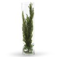 thumbnail image 4 of WGV International 6" Wide Clear Cylinder Glass Vase, Candle Holder, 1 Piece 20"H, 4 of 5