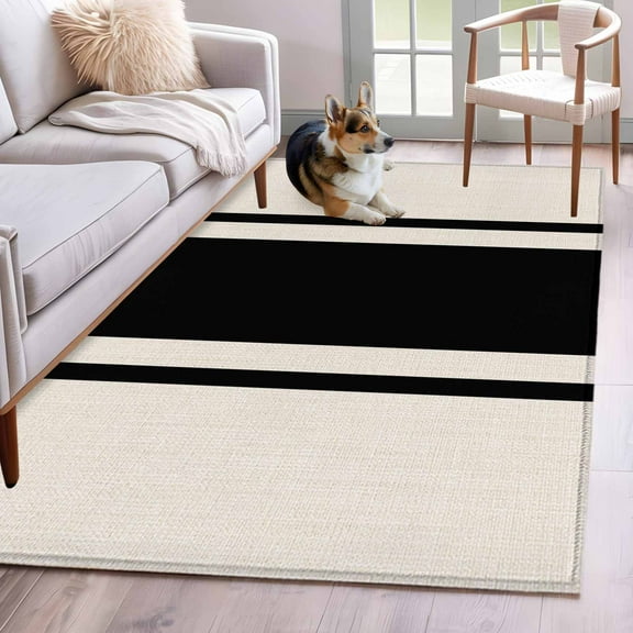 Black Vintage Area Rug 4x6 Washable Rug Non Slip Geometric Stripes Simple Lines Large Area Rug Indoor Floor Carpet for Entryway Bedroom Kitchen Living Room Home Office Dining Room Nursery