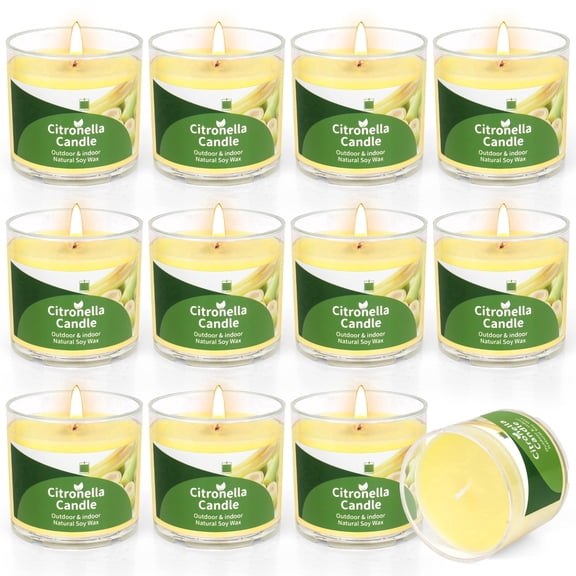 Giphtpoeet 12PCS Citronella Candle Portable Small Outdoor Candle Bulk for Garden Picnic Camping, 25.2oz Total