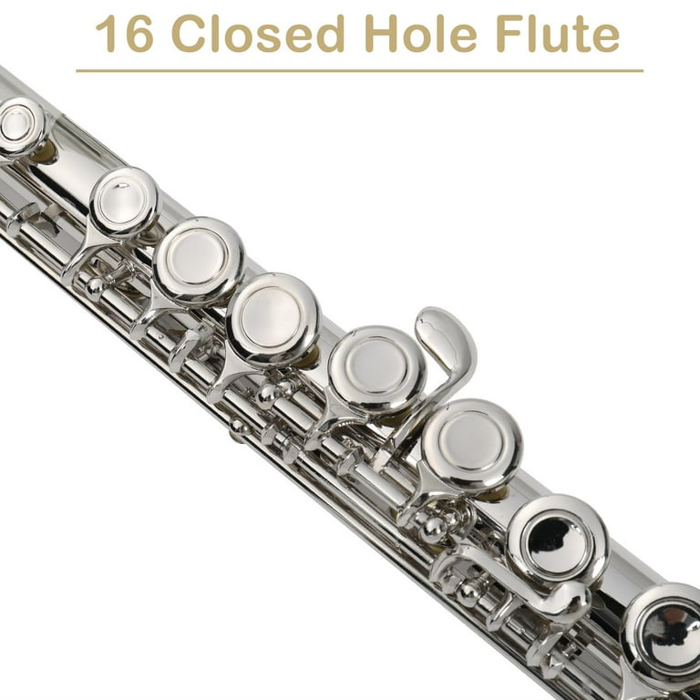 Zimtown 16 Hole C Flute Kit with Case and More Accessories