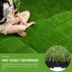 thumbnail image 1 of unbranded Alfombra Decorativa De Césped Sintético Resistente Con Aspecto Y Textura Natural, 1 of 6