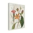 thumbnail image 2 of Trademark Fine Art 'Vintage Flora III Ivory' Canvas Art by Sue Schlabach, 2 of 3