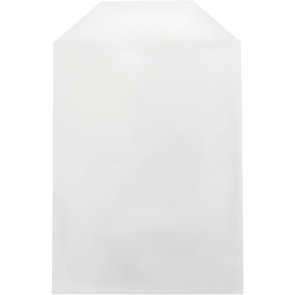 500 CPP Clear Plastic Sleeve with Flap (Fits 14mm DVD Case Artwork)