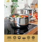 Cook N Home Basics 8 Quart Stainless Steel Stock Pot with Lid, Cooking Pot for Pasta, Soup, Sturdy Handle, Stockpot with Even Heating, Oven & Dishwasher Safe, Cookware for Canning, Boiling